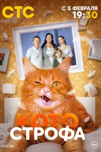 Смотреть Котострофа 